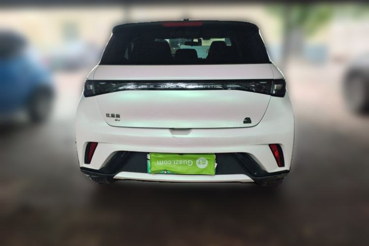 Used BYD Dolphin 2021 405 km Free Version Rear