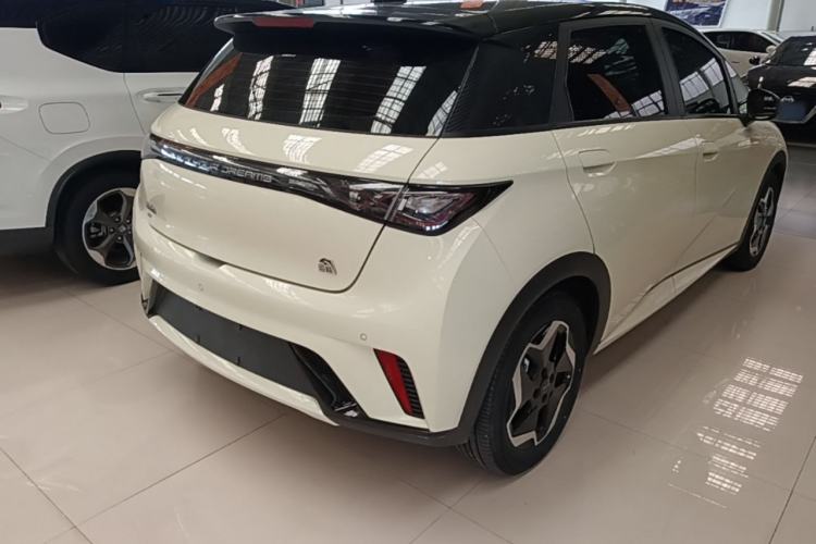 Used BYD Dolphin 2021 405 km Fashion Edition Rear Right 45 Deg