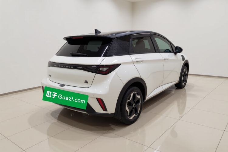 Used BYD Dolphin 2021 405 km Free Version Rear Right 45 Deg