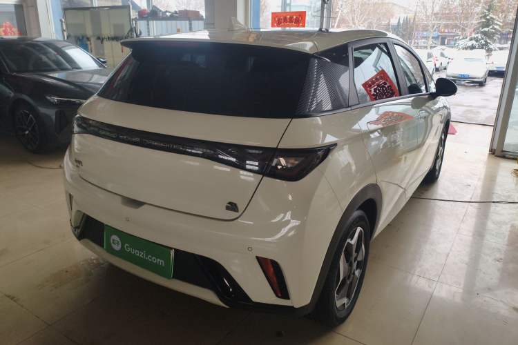 Used BYD Dolphin 2021 405 km Fashion Edition Rear Right 45 Deg