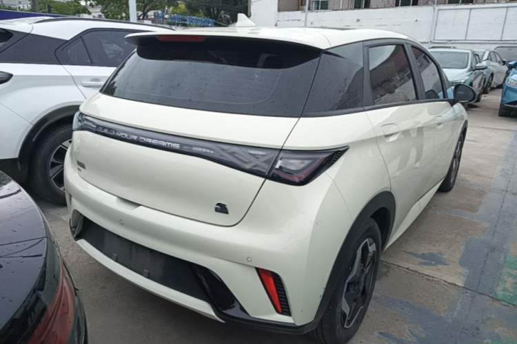 Used BYD Dolphin 2021 405 km Fashion Edition Rear Right 45 Deg