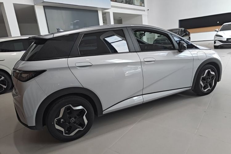Used BYD Dolphin 2021 405 km Free Version Rear Right 45 Deg