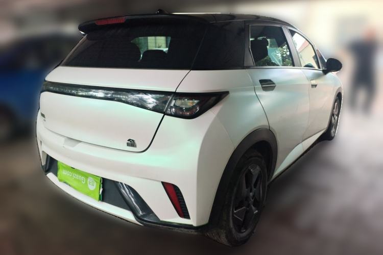 Used BYD Dolphin 2021 405 km Free Version Rear Right 45 Deg