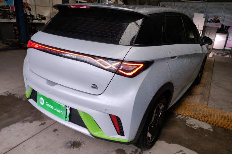 Used BYD Dolphin 2021 405 km Free Version Rear Right 45 Deg
