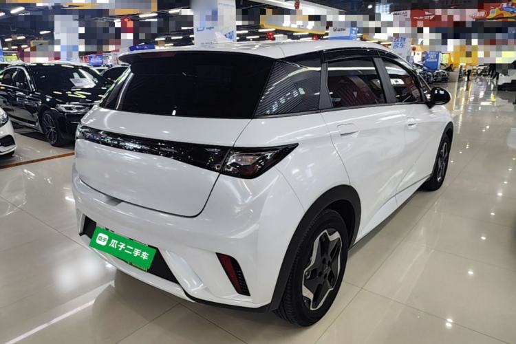 Used BYD Dolphin 2021 405 km Fashion Edition Rear Right 45 Deg