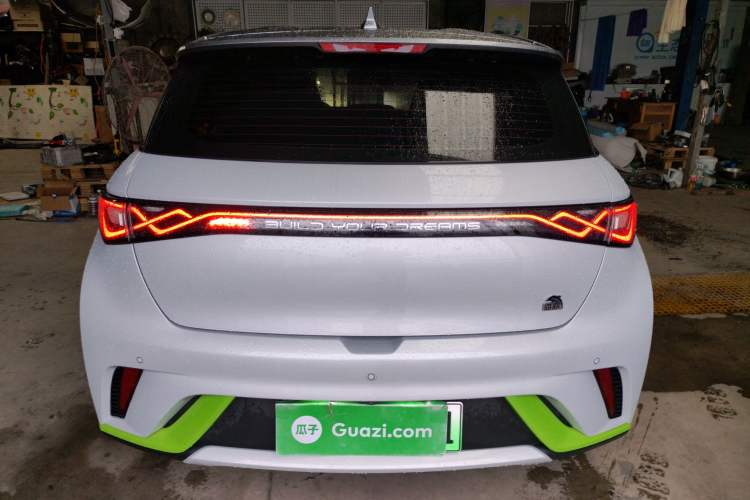 Used BYD Dolphin 2021 405 km Free Version Rear