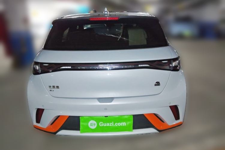 Used BYD Dolphin 2021 405 km Fashion Edition Rear