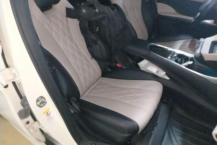 Used BYD Dolphin 2021 405 km Fashion Edition Right Front Seat