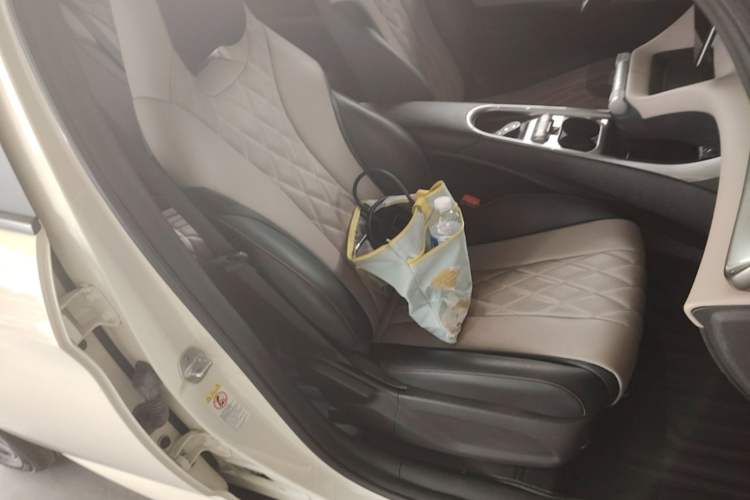 Used BYD Dolphin 2021 405 km Free Version Right Front Seat