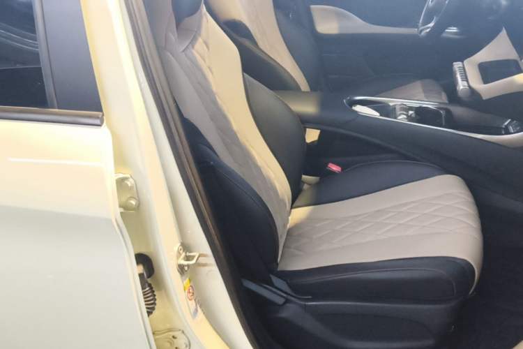 Used BYD Dolphin 2021 405 km Fashion Edition Right Front Seat