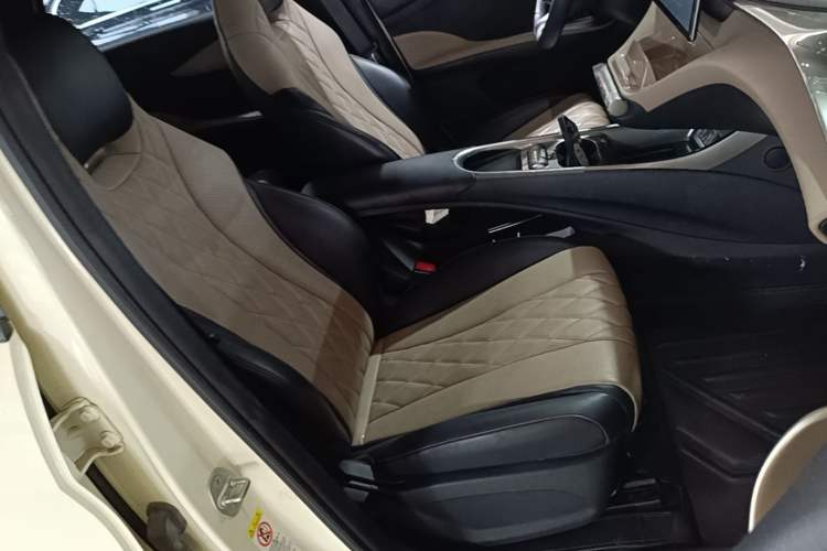 Used BYD Dolphin 2021 405 km Free Version Right Front Seat