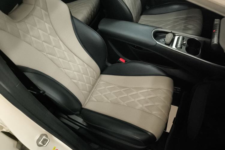 Used BYD Dolphin 2021 405 km Fashion Edition Right Front Seat