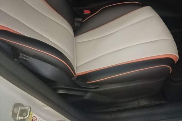 Used BYD Dolphin 2021 405 km Fashion Edition Right Front Seat