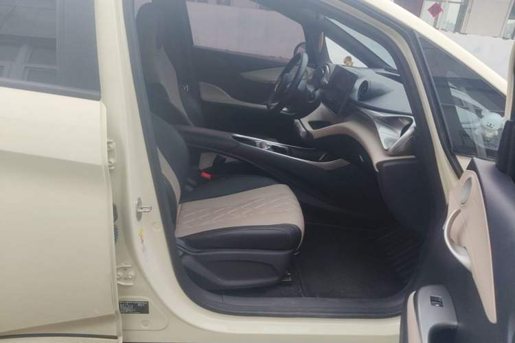 Used BYD Dolphin 2021 405 km Fashion Edition Right Front Seat