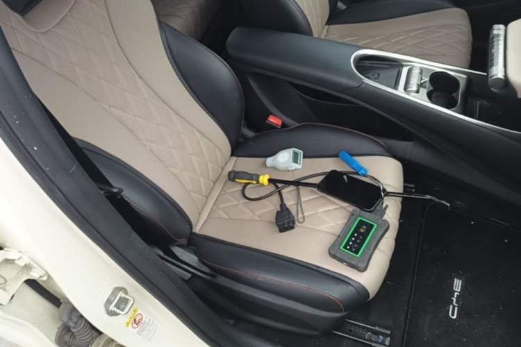 Used BYD Dolphin 2021 405 km Fashion Edition Right Front Seat