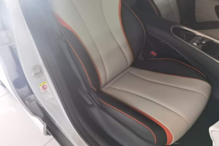 Used BYD Dolphin 2021 405 km Fashion Edition Right Front Seat