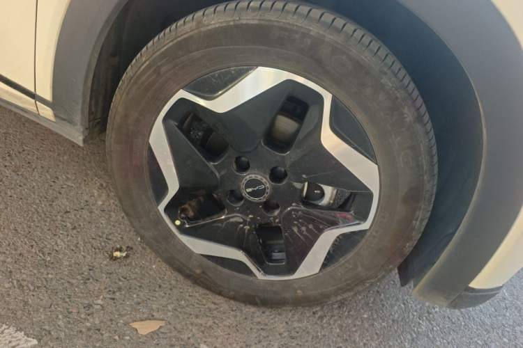 Used BYD Dolphin 2021 405 km Fashion Edition Right Front Wheel Hub