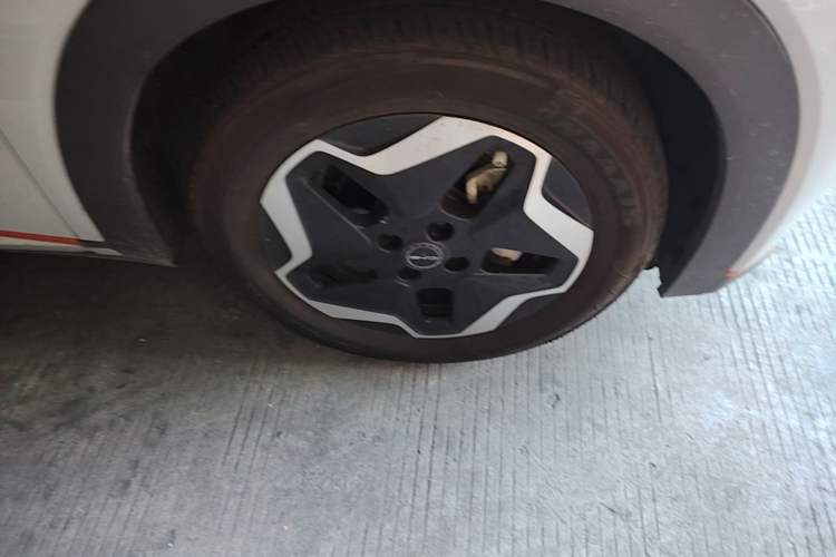 Used BYD Dolphin 2021 405 km Fashion Edition Right Front Wheel Hub