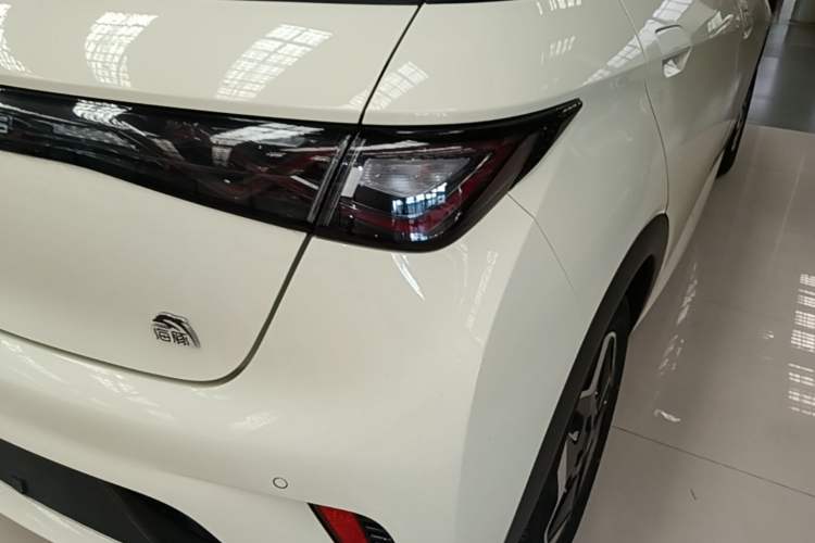 Used BYD Dolphin 2021 405 km Fashion Edition Right Rear Taillight