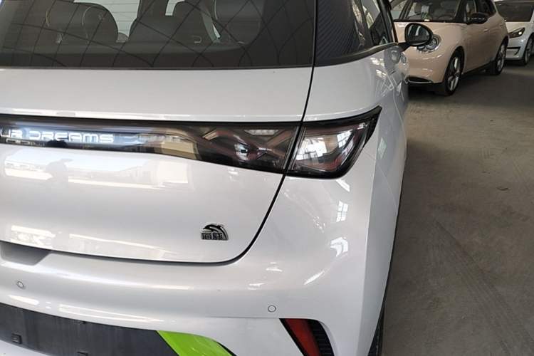 Used BYD Dolphin 2021 405 km Fashion Edition Right Rear Taillight