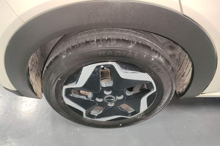 Used BYD Dolphin 2021 405 km Fashion Edition Right Rear Wheel Hub