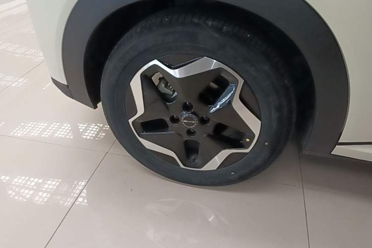 Used BYD Dolphin 2021 405 km Fashion Edition Right Rear Wheel Hub