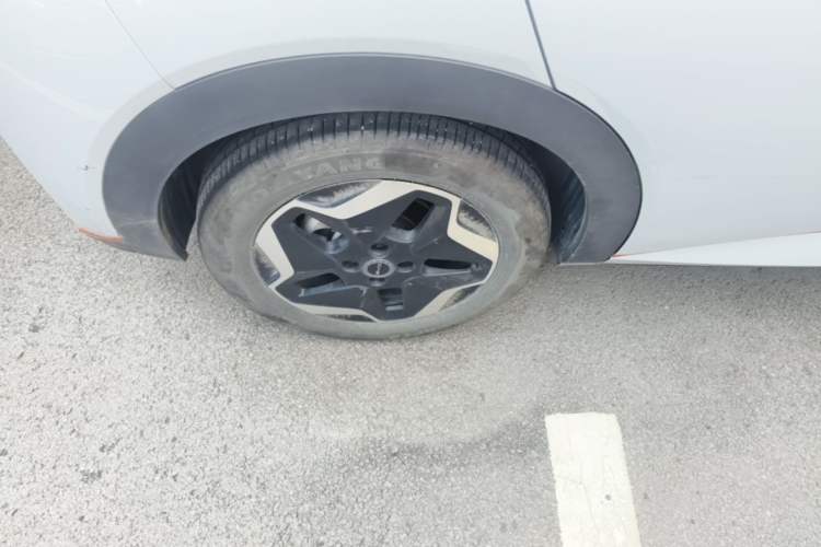 Used BYD Dolphin 2021 405 km Fashion Edition Right Rear Wheel Hub