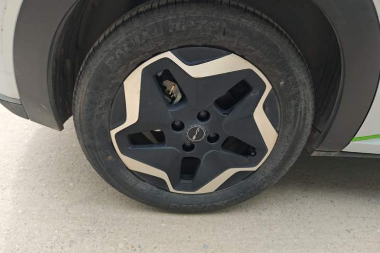 Used BYD Dolphin 2021 405 km Fashion Edition Right Rear Wheel Hub