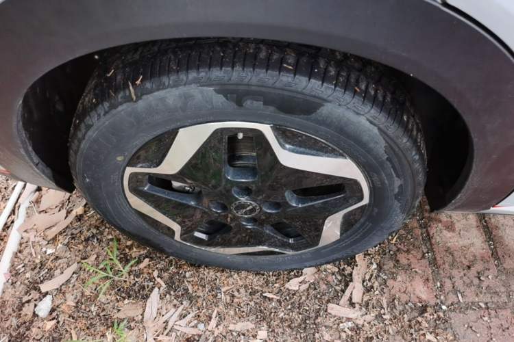 Used BYD Dolphin 2021 405 km Free Version Right Rear Wheel Hub