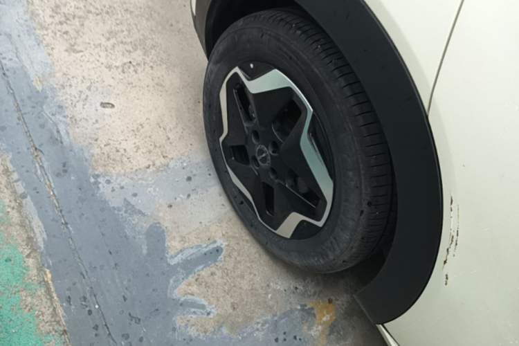 Used BYD Dolphin 2021 405 km Fashion Edition Right Rear Wheel Hub