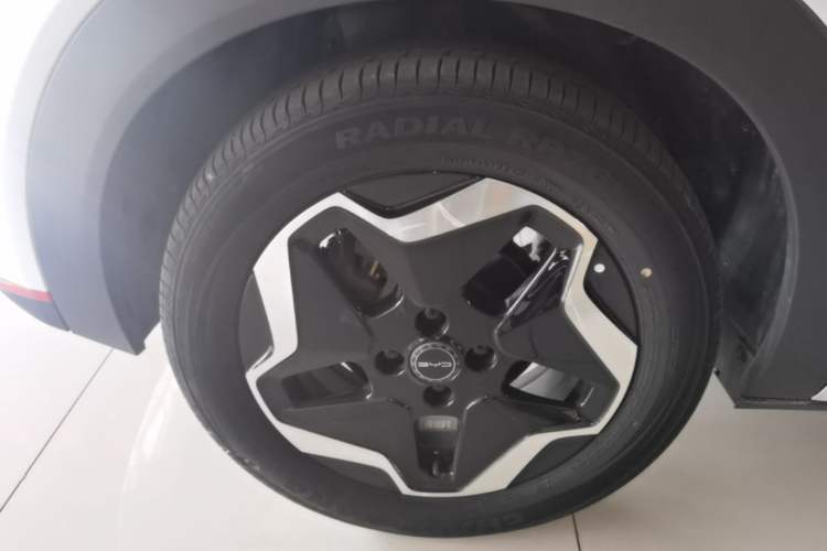 Used BYD Dolphin 2021 405 km Fashion Edition Right Rear Wheel Hub