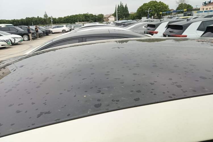 Used BYD Dolphin 2021 405 km Fashion Edition Roof