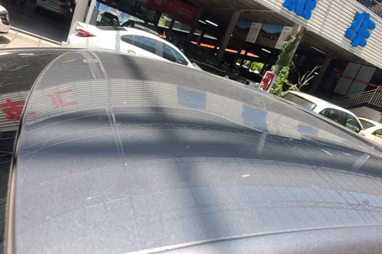 Used BYD Dolphin 2021 405 km Free Version Roof
