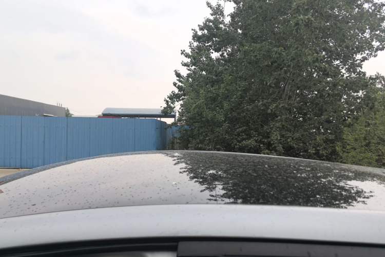 Used BYD Dolphin 2021 405 km Fashion Edition Roof