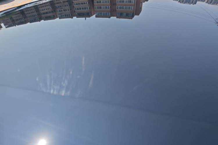 Used BYD Dolphin 2021 405 km Fashion Edition Roof