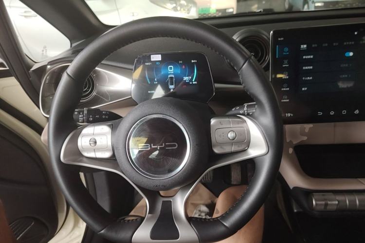 Used BYD Dolphin 2021 405 km Free Version Steering Wheel