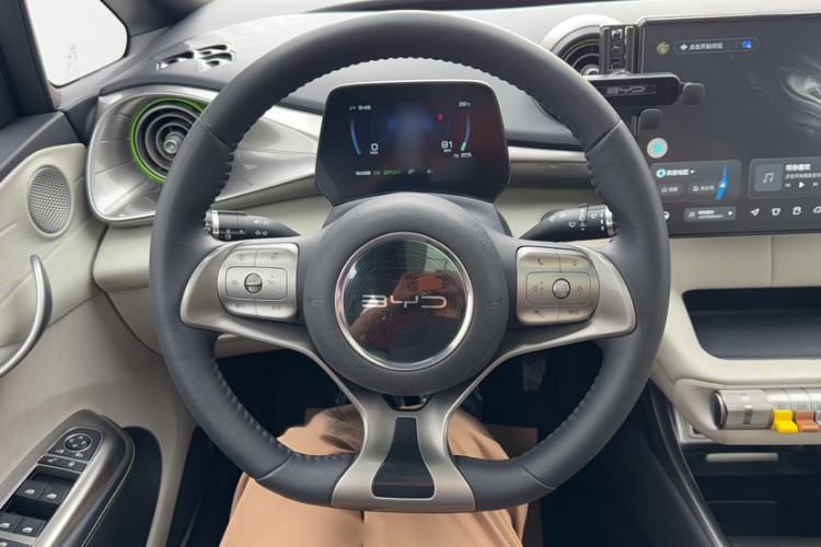 Used BYD Dolphin 2021 405 km Fashion Edition Steering Wheel