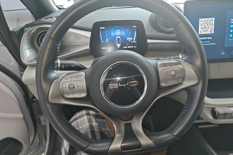 Used BYD Dolphin 2021 405 km Free Version Steering Wheel