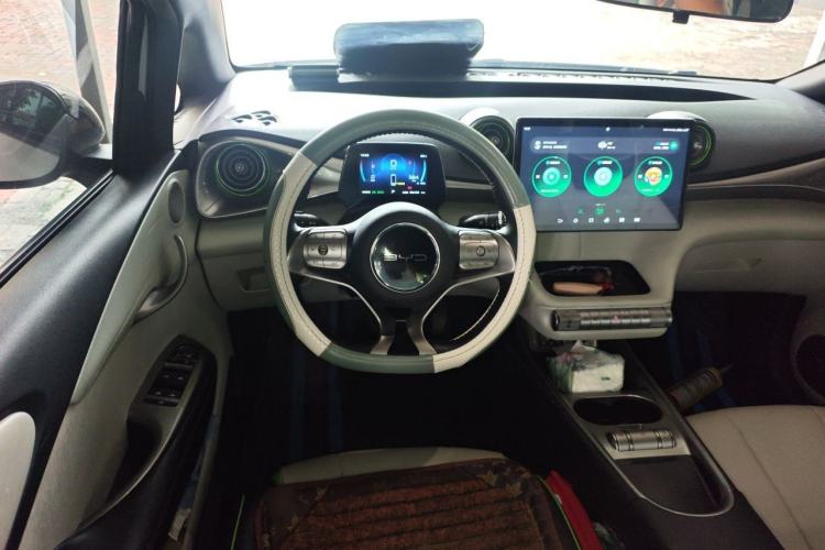 Used BYD Dolphin 2021 405 km Free Version Steering Wheel