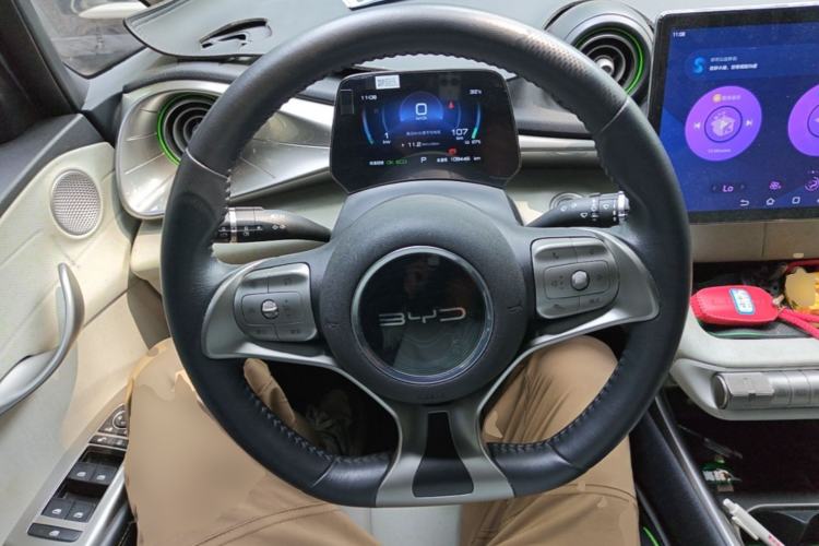Used BYD Dolphin 2021 405 km Free Version Steering Wheel
