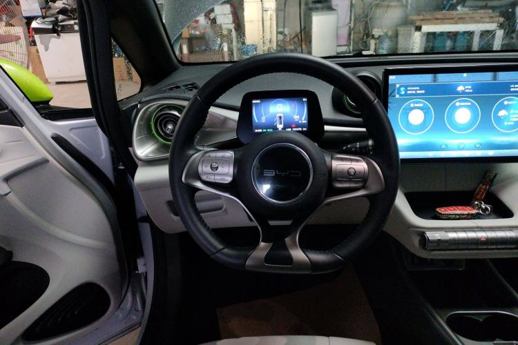 Used BYD Dolphin 2021 405 km Free Version Steering Wheel