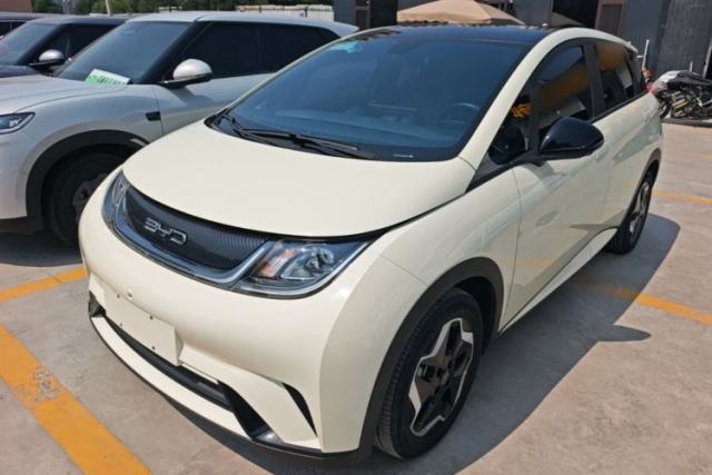 Used BYD Dolphin 2021 405 km Fashion Edition
