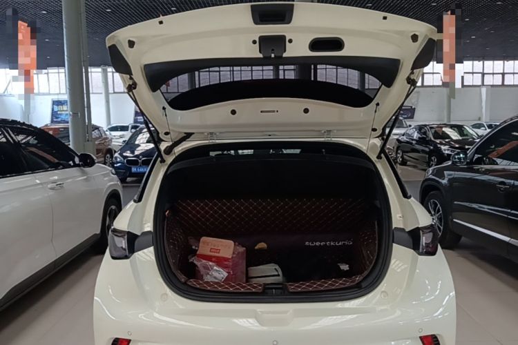 Used BYD Dolphin 2021 405 km Fashion Edition Trunk