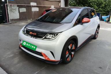 Used BYD Dolphin 2021 401km Knight Edition