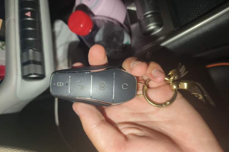 Used BYD Dolphin 2021 405 km Free Version Vehicle Key