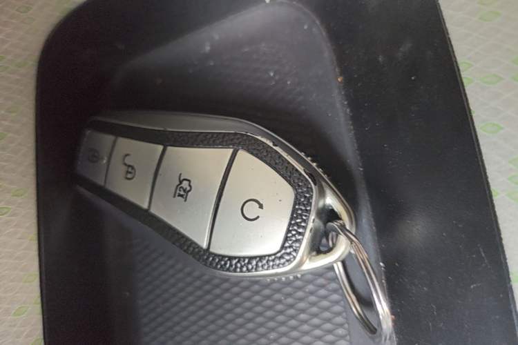 Used BYD Dolphin 2021 405 km Fashion Edition Vehicle Key