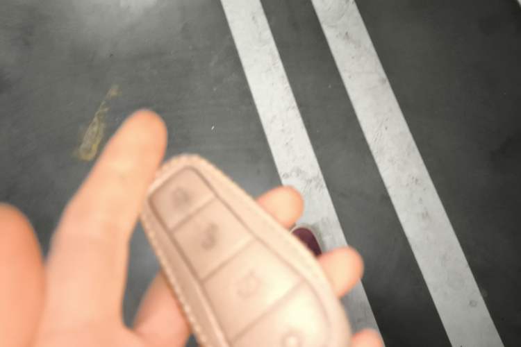 Used BYD Dolphin 2021 405 km Fashion Edition Vehicle Key