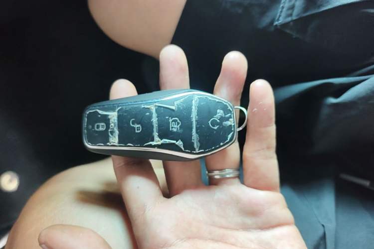 Used BYD Dolphin 2021 405 km Free Version Vehicle Key