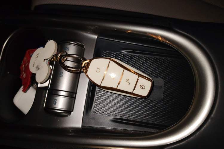 Used BYD Dolphin 2021 405 km Fashion Edition Vehicle Key