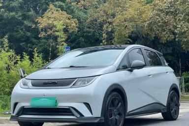 Used BYD Dolphin 2021 401km Knight Edition